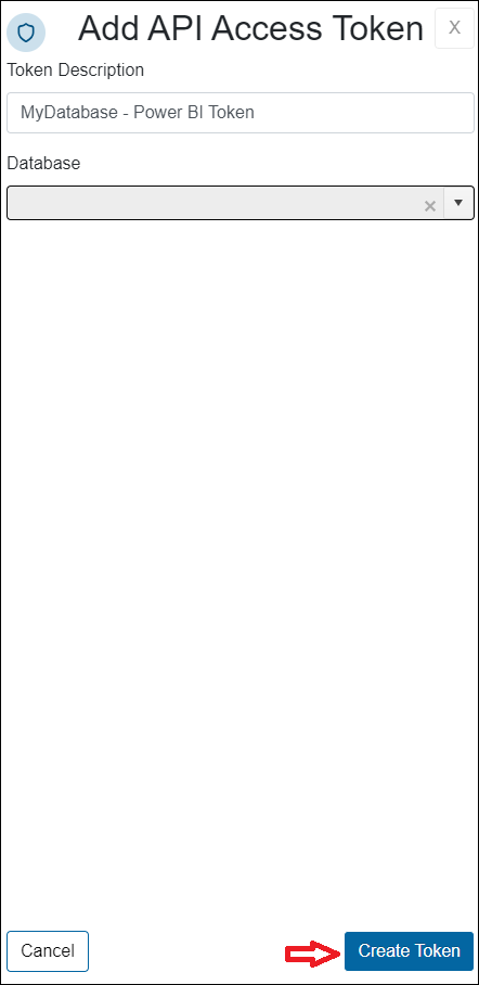 api-pbi_02a.png