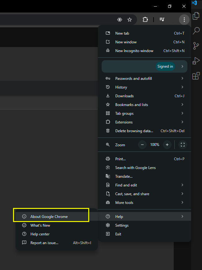 Chrome version verify